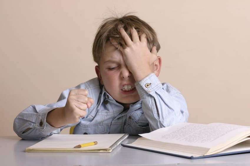 Special Education Services