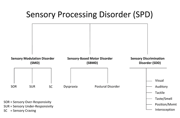 Sensory-Process-Disorder